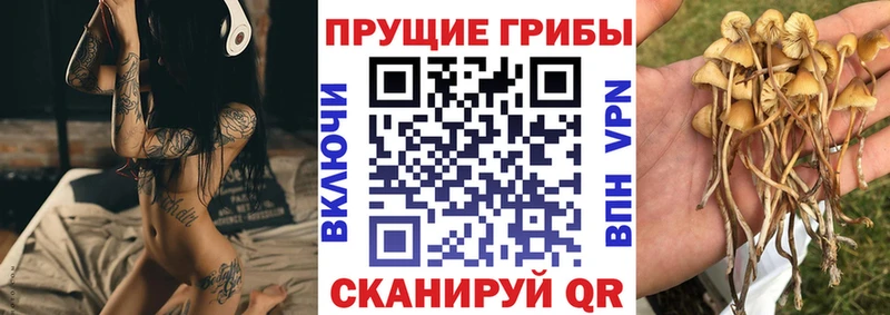 Псилоцибиновые грибы мухоморы Светлый